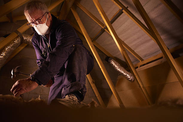 Best Specialized Insulation Services in Kaunakakai, HI